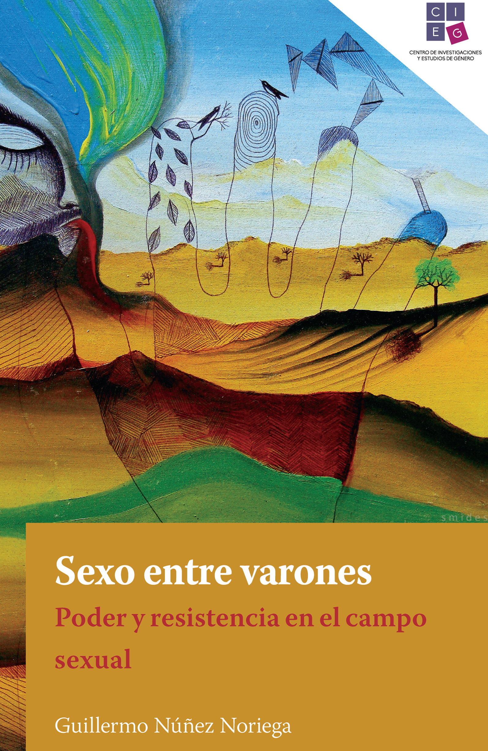 Sexo entre varones. Poder y resistencia en el campo sexual